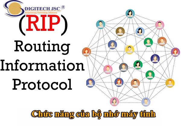 Giao thức RIP là gì_Digitech JSC