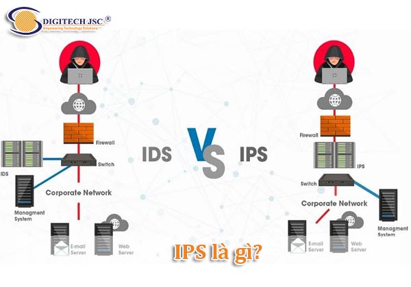 IPS là gì