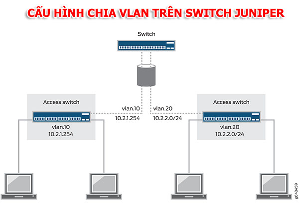 Cấu hình chia VLAN trên Switch Juniper ( Juniper Switch Vlan Configuration) - Digitech JSC